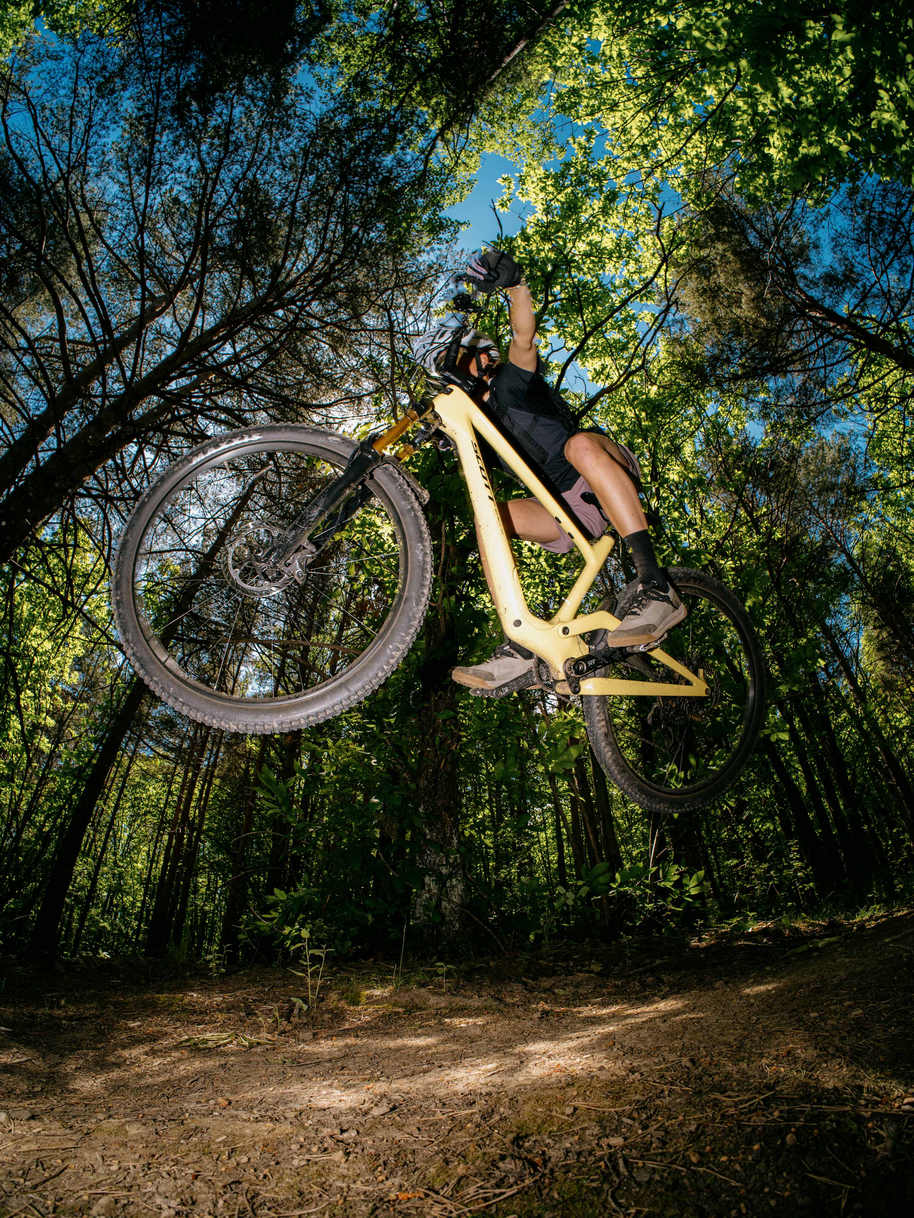 A mountain biker soars through the air against a backdrop of lush green trees and a bright blue sky.