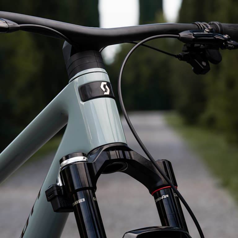 A close-up of a grey bicycle's handlebars and front fork is set against a blurred background of a tree-lined path.