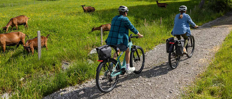Electric All-Terrain Bikes
