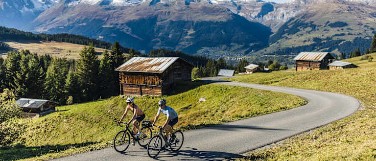 Endurance Road Bikes