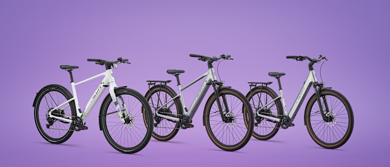 Sweep Family bikes