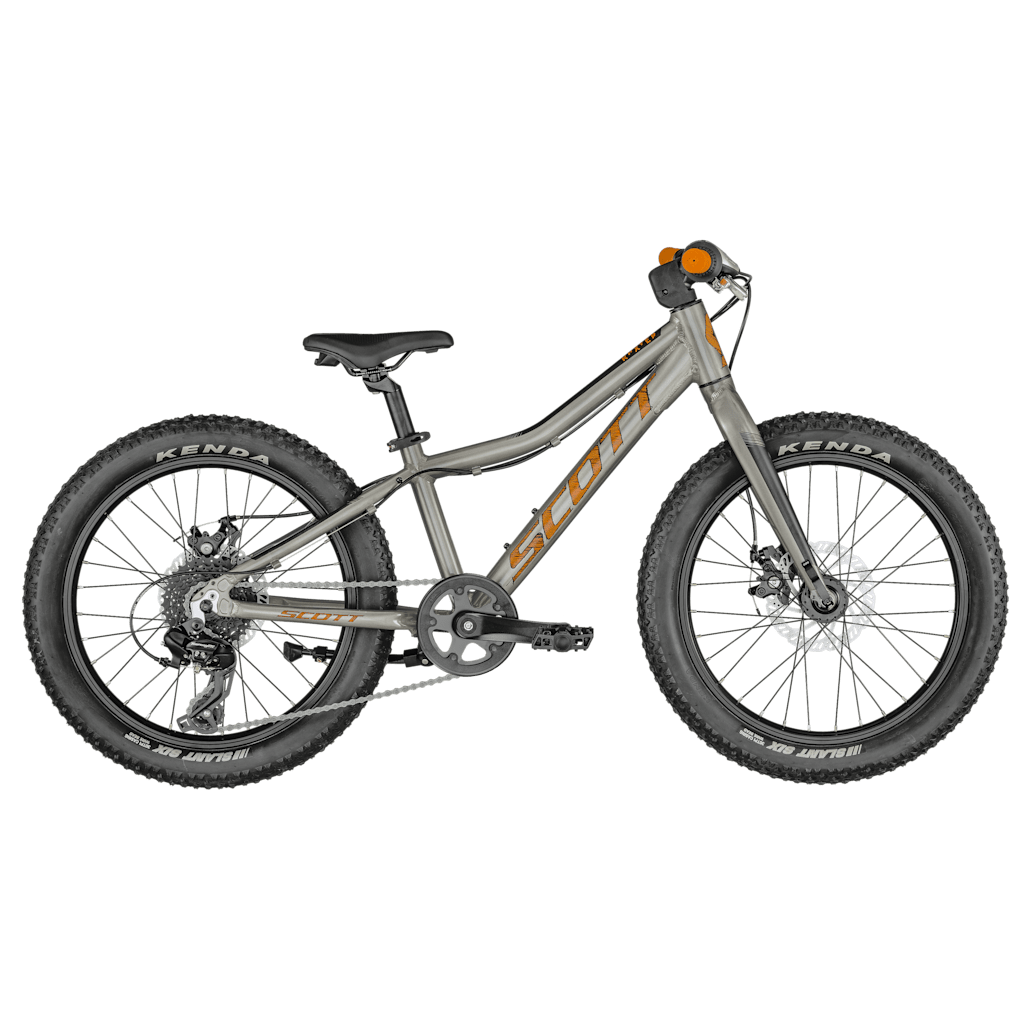 Scott Roxter 20 silver Bike - main view