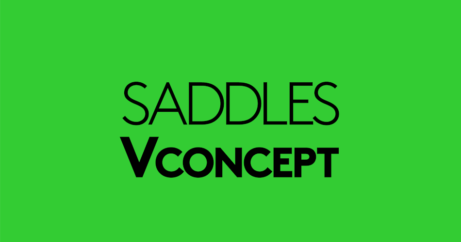 saddles v concept
