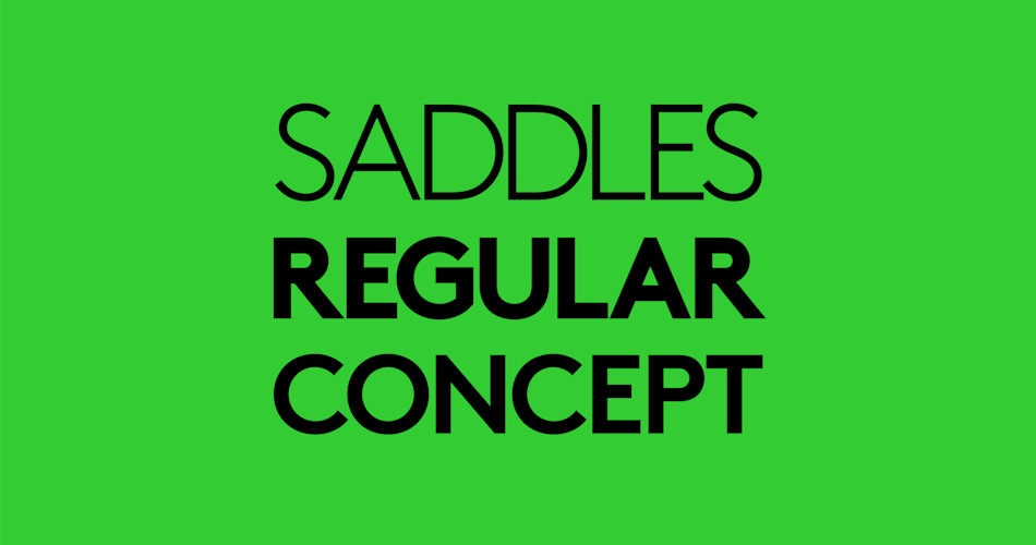 saddles regular concept