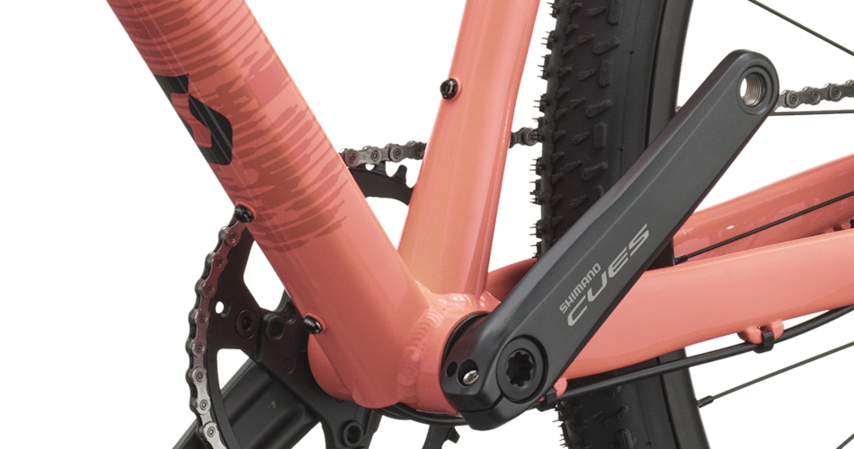 Drivetrain and bottom bracket detail
