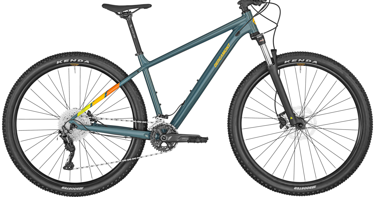 Bergamont Revox 6