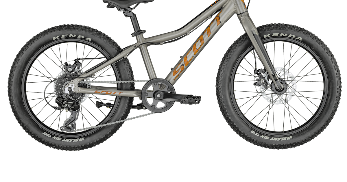 SCOTT Roxter 20 silver Bike