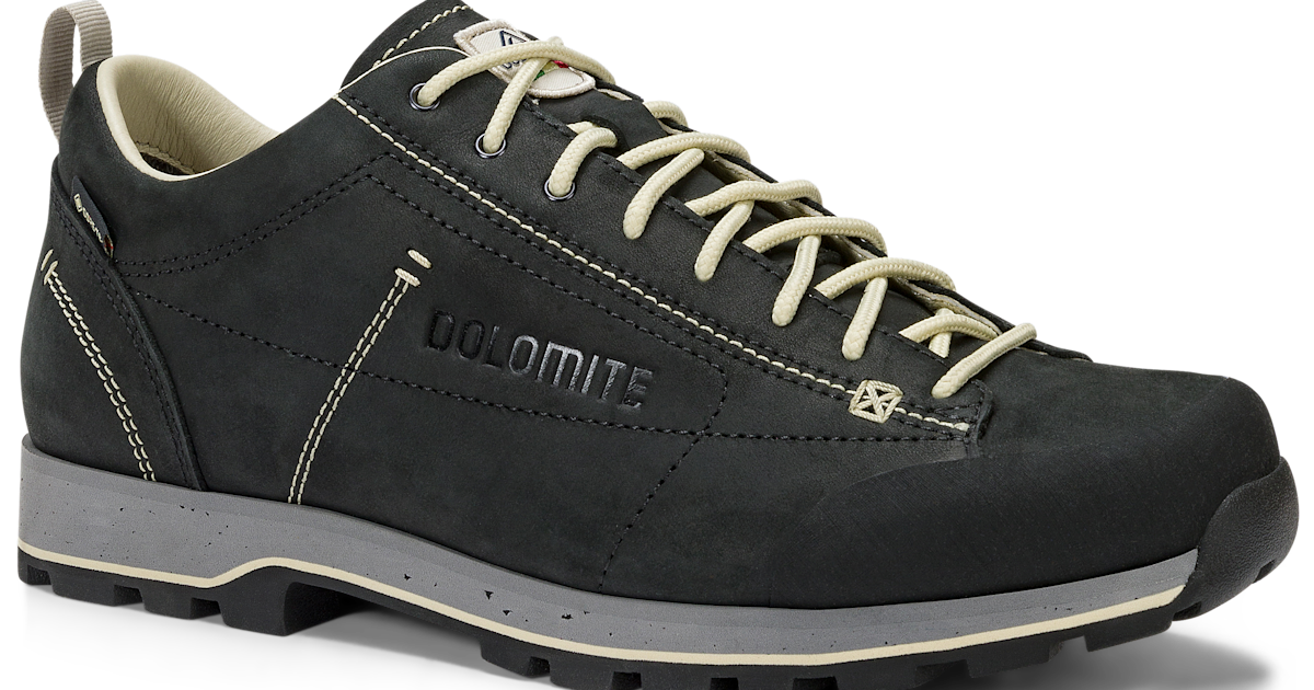 DOLOMITE 54 Low Fg Evo GORE-TEX Shoe