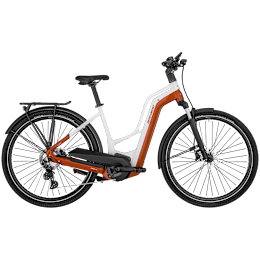 Bergamont E-Horizon Edition LTD Amsterdam