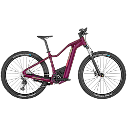 Bergamont E-Revox Pro FMN