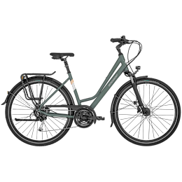Bergamont Horizon 4 Amsterdam grey