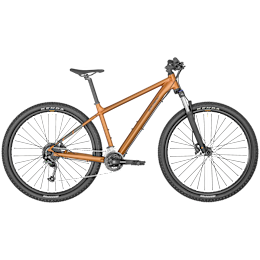 Bergamont Revox 4 bronze