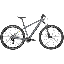 Bergamont Revox 3 grey