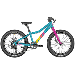 Bergamont Bergamonster 20 Plus blue