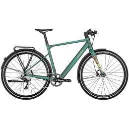 Bergamont E-Sweep Tour