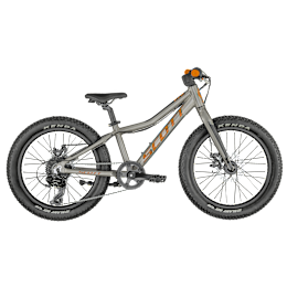SCOTT Roxter 20 silver Bike