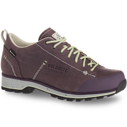 DOLOMITE 54 Low Fg Evo GORE-TEX Women's Shoe