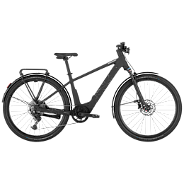 Bergamont Helix 20
