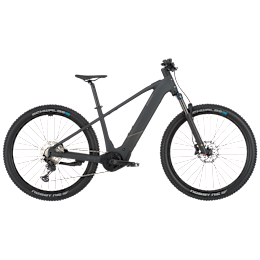 Bergamont E-Revox Sport 10