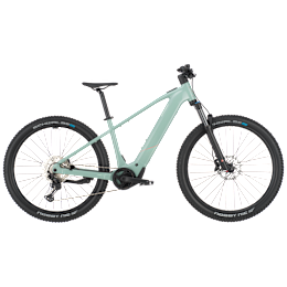 Bergamont E-Revox Sport 10