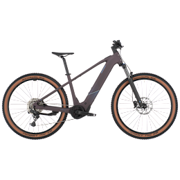 Bergamont E-Revox Sport 20
