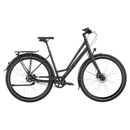 Bergamont Vitess 20 Rigid Amsterdam