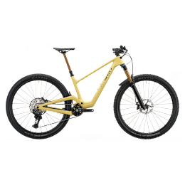 Scott Spark DC 20 Bike