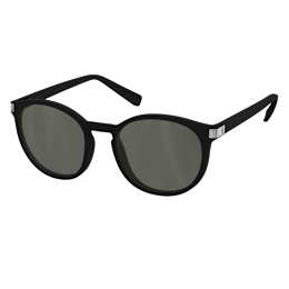 Lunettes de soleil SCOTT Riff Polarized