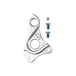 SCOTT Dropout hanger D12MM Big Jon
