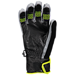 SCOTT Arctic GORE-TEX Glove