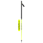 SCOTT RC Pro Poles