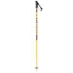 SCOTT Pure SRS Poles