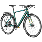 Bergamont E-Sweep Tour