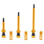 SYNCROS Tubeless Valves
