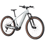 Bergamont E-Revox Sport 20