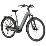 Bergamont E-Horizon Sport 10 Wave