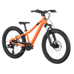 SCOTT Roxter 200 Bike