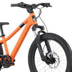 SCOTT Roxter 200 Bike