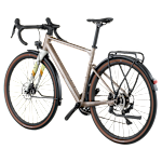Bergamont Grandurance RD 20