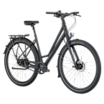 Bergamont Vitess 20 Rigid Amsterdam
