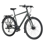 Bergamont Vitess 40 Rigid