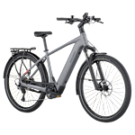 Bergamont E-Horizon Sport 10