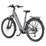 Bergamont E-Horizon Sport 10 Wave