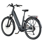Bergamont E-Horizon Sport 20 Wave