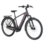 Bergamont E-Horizon Tour 10 Belt