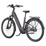 Bergamont E-Horizon Tour 10 Belt Wave
