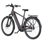 Bergamont E-Horizon Tour 10 Belt