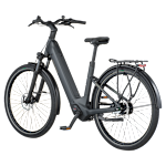 Bergamont E-Horizon Tour 40 Wave