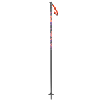 Scott SEA Pole