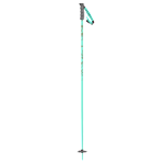 Scott SEA Pole